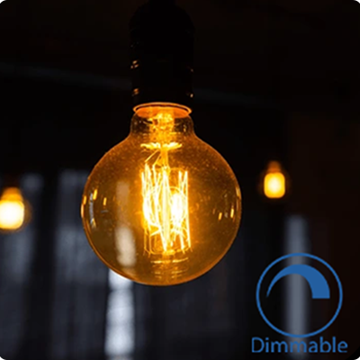 LED Light Bulbs