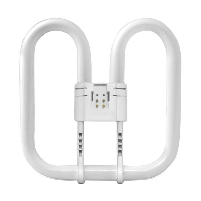 2D 38W GR10q 4 Pin White Colour 840