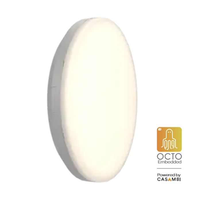 Ansell Mercurial 1 CCT Multi Wattage Silver OCTO Smart Bulkhead