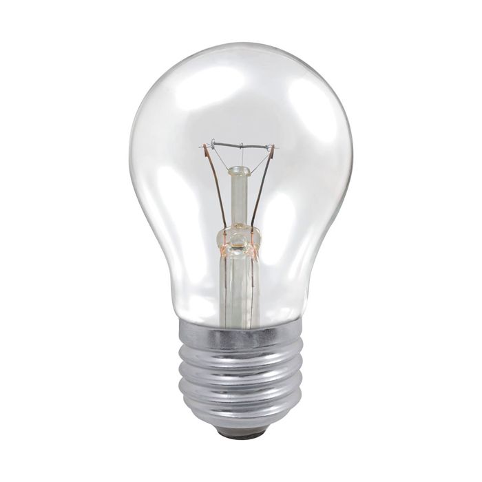 Professional 40W ES Clear GLS