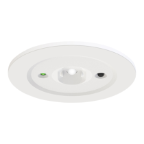 Ansell Beacon LED Emergency 2.5W Non-Maintained Fixed Downlight