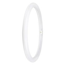 Ledvance 24W (40W) LED T9 Circular Tube G10q 865 EM