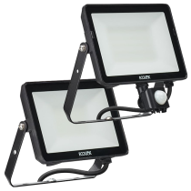 Signify Ecolink LED Floodlight