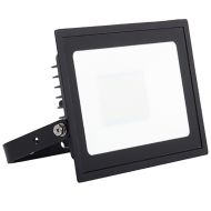 Ansell Eden LED Floodlight 10w Warm White