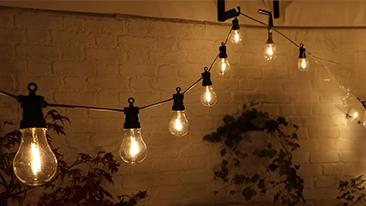 Festoon lights